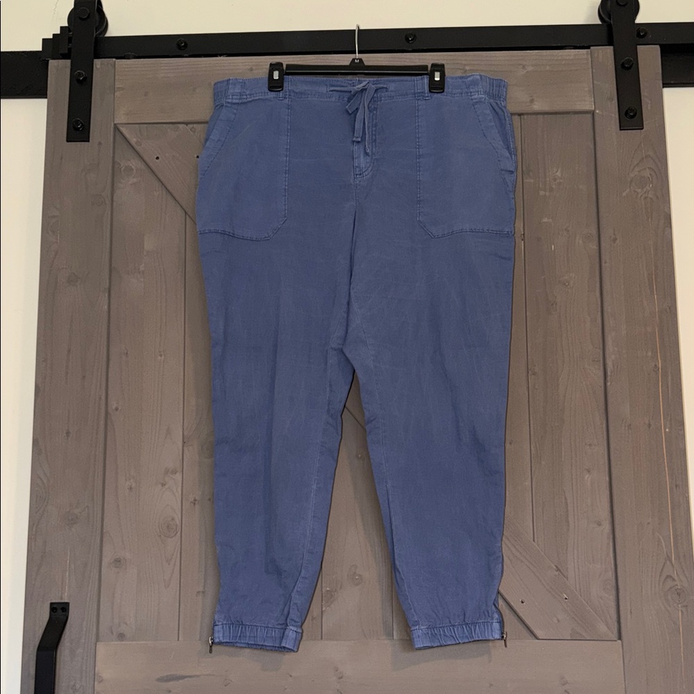Sonoma Blue Jogger Pants